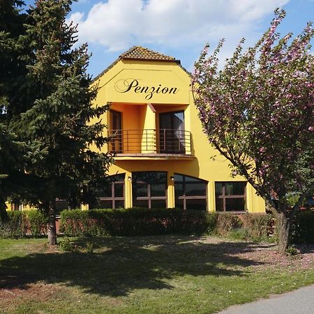 Leo - Penzion Jevišovice Exteriér fotografie