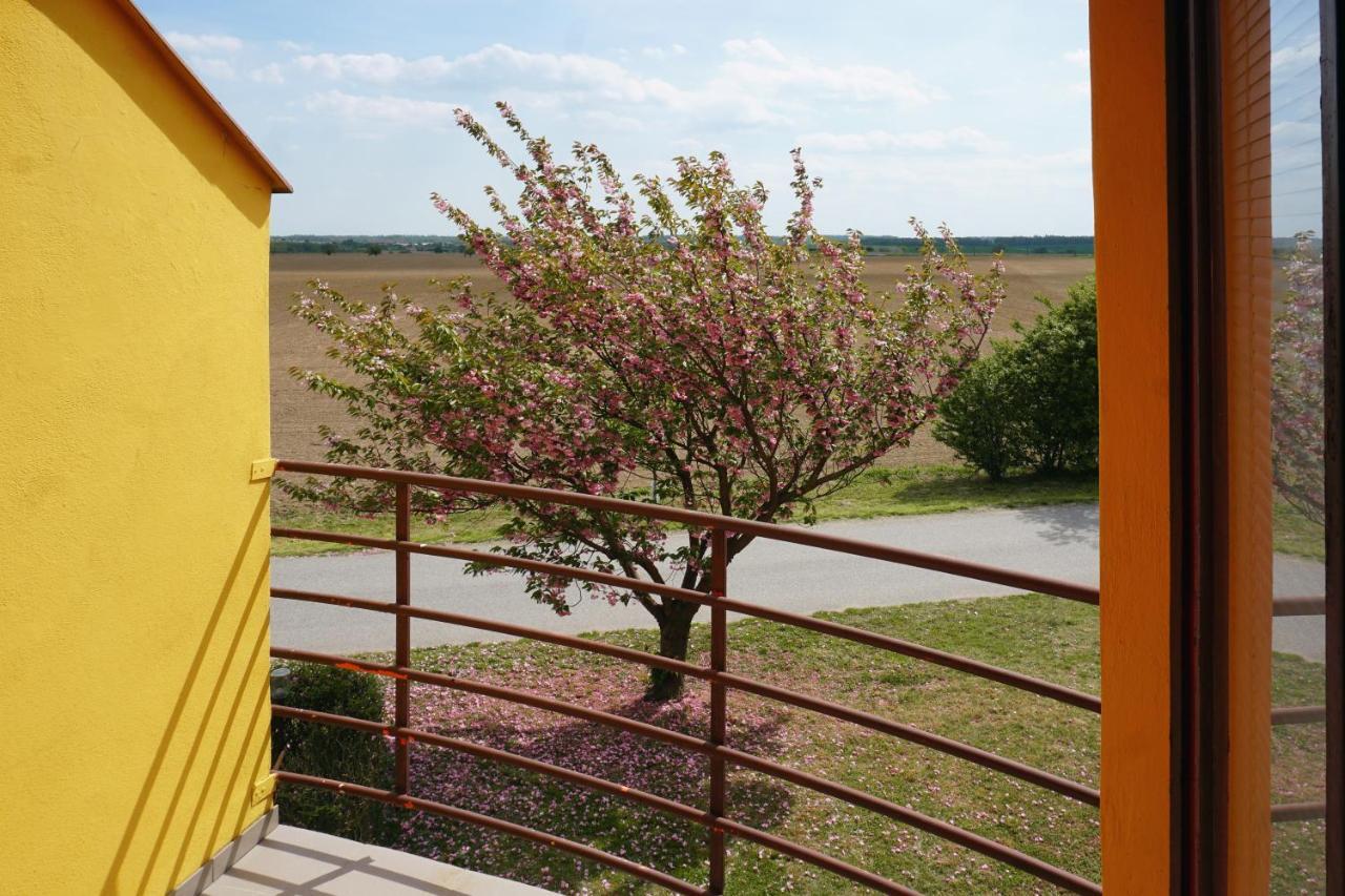 Leo - Penzion Jevišovice Exteriér fotografie